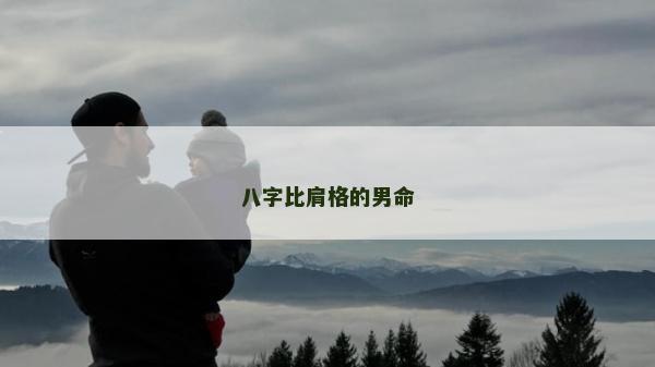 八字比肩格的男命