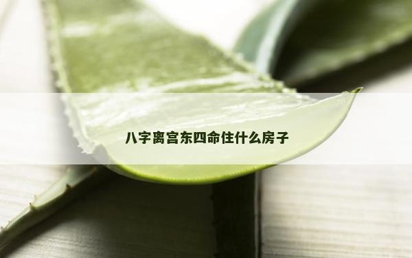 八字離宮東四命住什么房子
