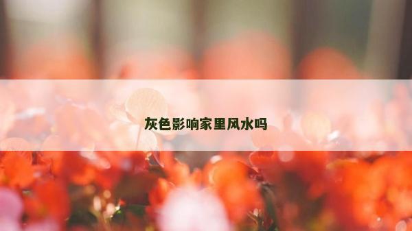 灰色影響家里風水嗎