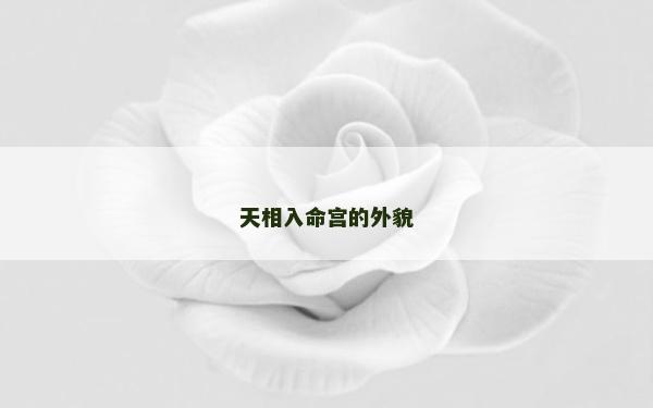 天相入命宮的外貌