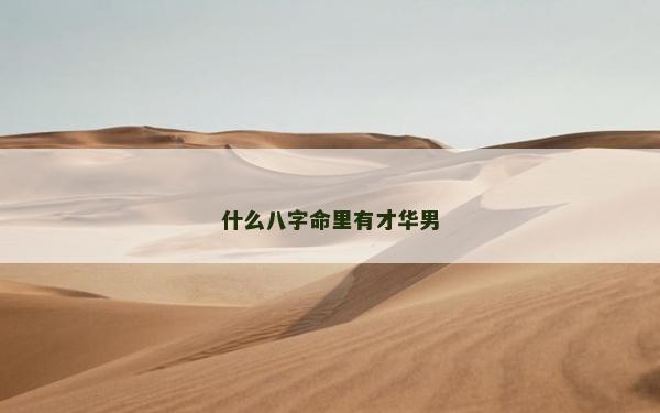 什么八字命里有才華男