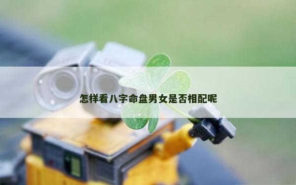 怎樣看八字命盤男女是否相配呢