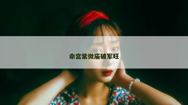 命宮紫微廟破軍旺