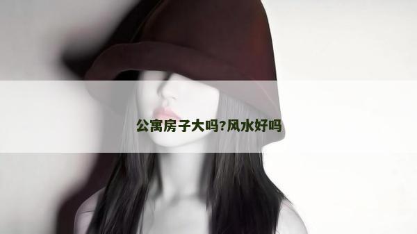 公寓房子大嗎?風(fēng)水好嗎