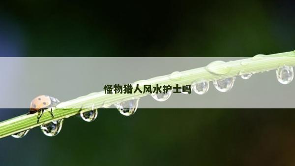 怪物獵人風水護士嗎