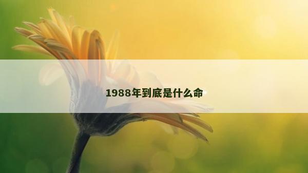 1988年到底是什么命