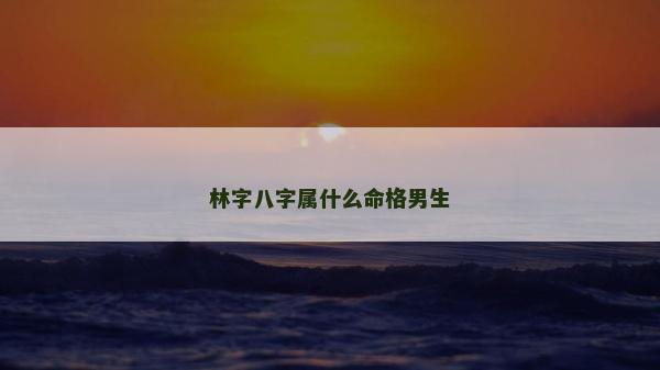 林字八字屬什么命格男生
