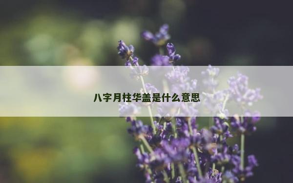 八字月柱華蓋是什么意思