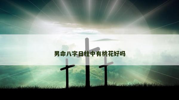 男命八字日柱中有桃花好嗎