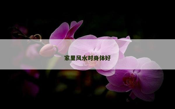 家里風水對身體好