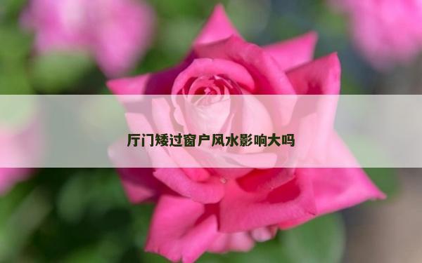 廳門矮過(guò)窗戶風(fēng)水影響大嗎