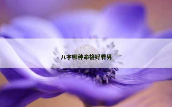 八字哪種命格好看男