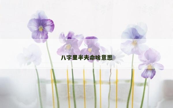 八字里半夫命啥意思