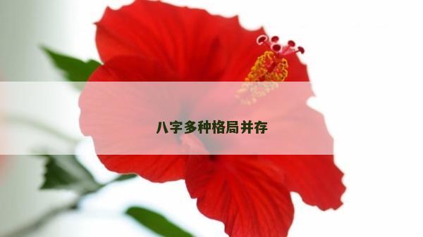 八字多種格局并存