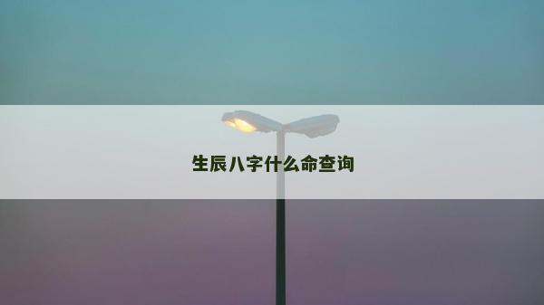 生辰八字什么命查詢