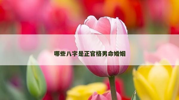 哪些八字是正官格男命婚姻