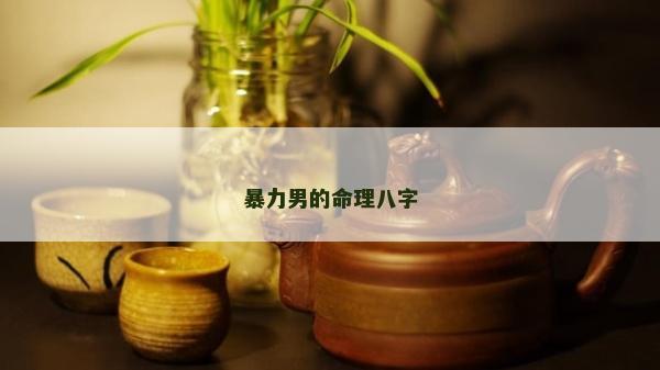 暴力男的命理八字