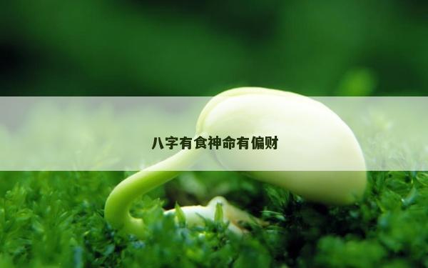 八字有食神命有偏財