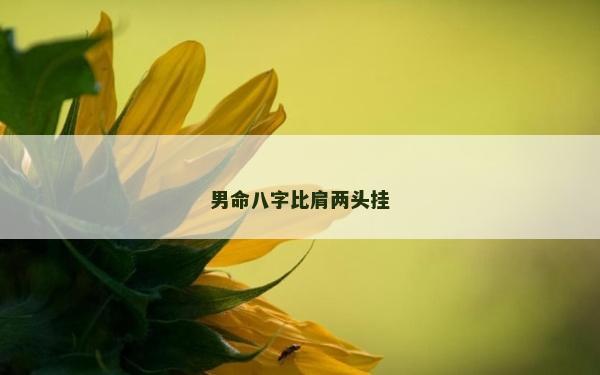 男命八字比肩兩頭掛