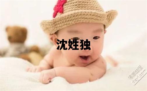 沈姓獨特優美的男寶寶名字