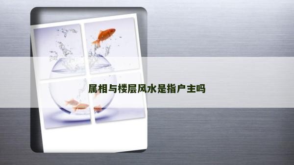 屬相與樓層風水是指戶主嗎 屬相與樓層風水是指戶主嗎