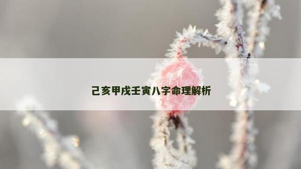 己亥甲戌壬寅八字命理解析 己亥甲戌壬寅八字命理解析