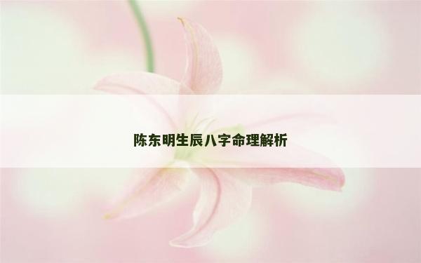 陳東明生辰八字命理解析