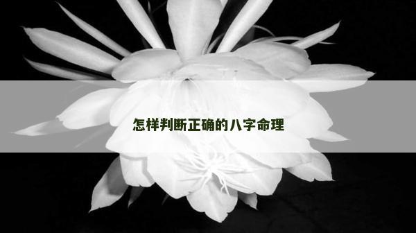 怎樣判斷正確的八字命理