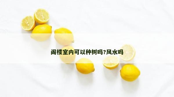 閣樓室內可以種樹嗎?風水嗎