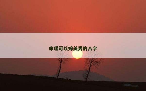 命理可以嫁美男的八字