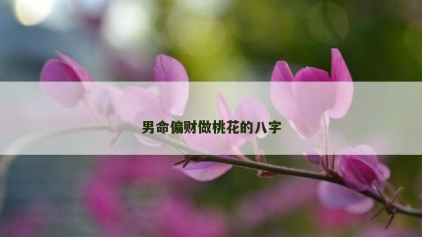 男命偏財(cái)做桃花的八字