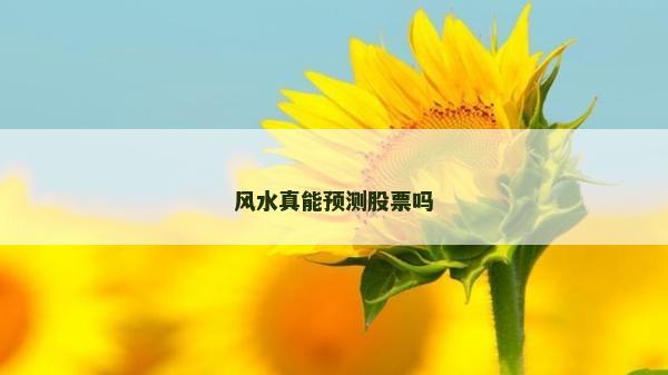 風水真能預測股票嗎