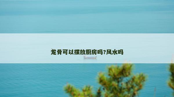 龍骨可以擺放廚房嗎?風水嗎