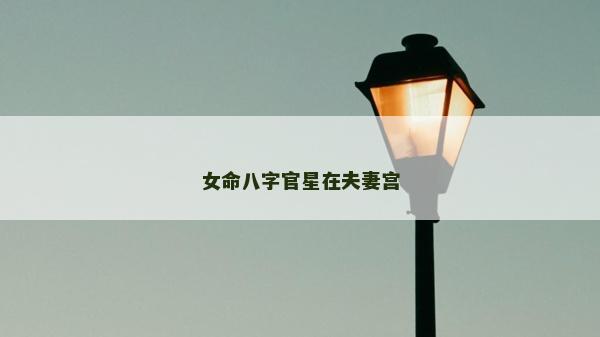 女命八字官星在夫妻宮 女命八字官星在夫妻宮