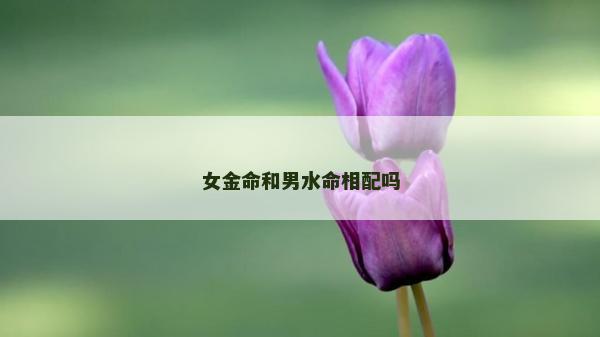 女金命和男水命相配嗎