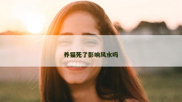 養貓死了影響風水嗎