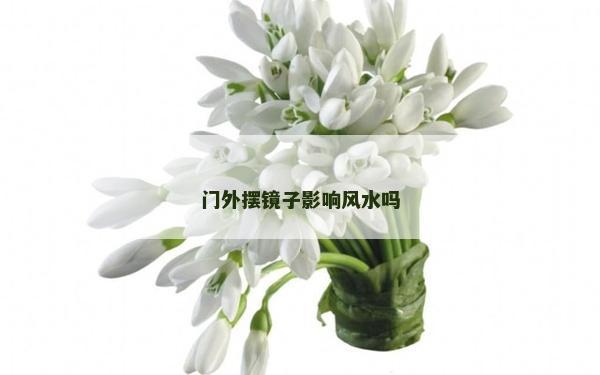 門外擺鏡子影響風水嗎 門外擺鏡子影響風水嗎