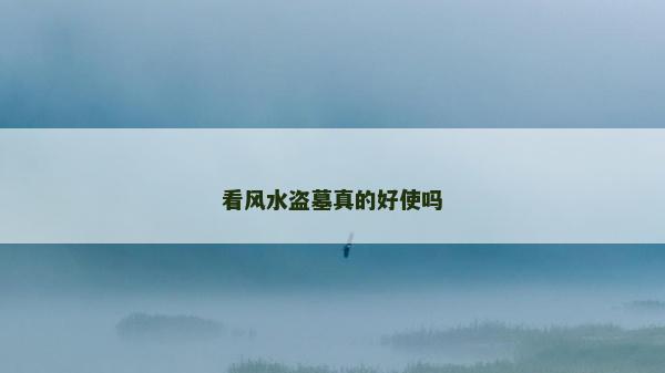 看風水盜墓真的好使嗎