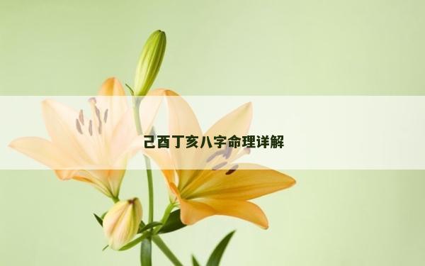 己酉丁亥八字命理詳解