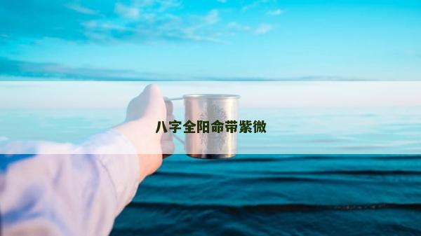 八字全陽命帶紫微
