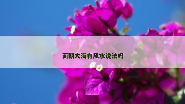 面朝大海有風水說法嗎