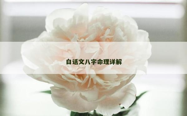 白話文八字命理詳解
