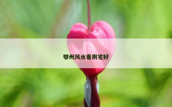 鄂州風水看陰宅好