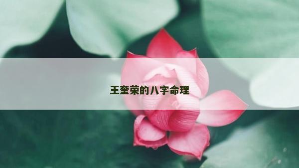 王奎榮的八字命理
