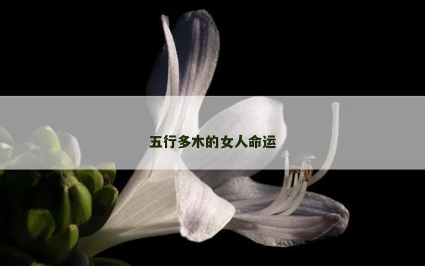五行多木的女人命運