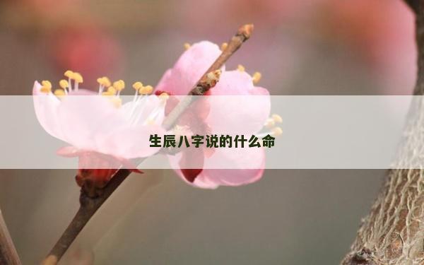 生辰八字說的什么命