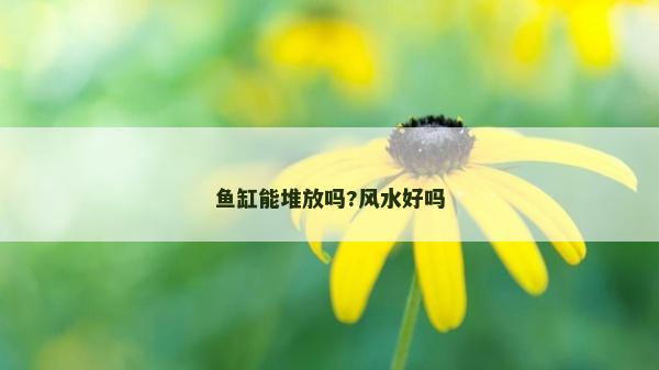 魚(yú)缸能堆放嗎?風(fēng)水好嗎