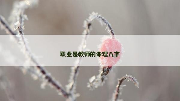 職業是教師的命理八字