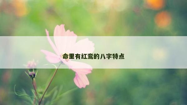命里有紅鸞的八字特點