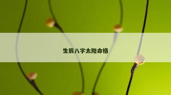生辰八字太陽命格